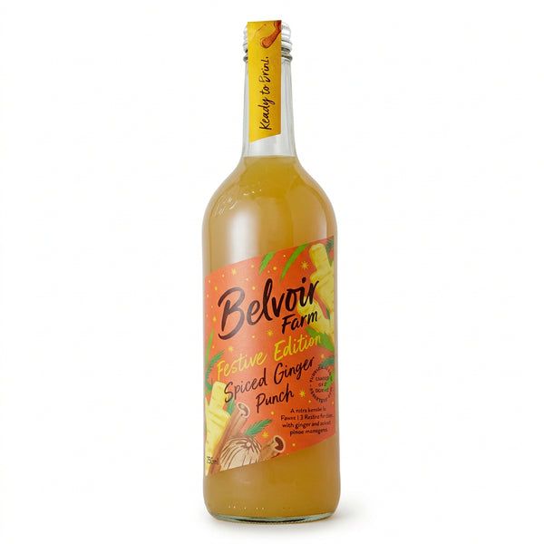 A bottle of Belvoir Spiced Ginger Punch, showing the label with colorful graphics indicating the flavor and brand.