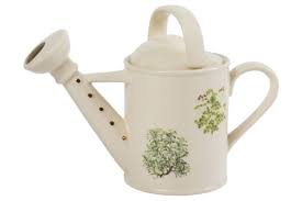 Watering Can Medium Teapot